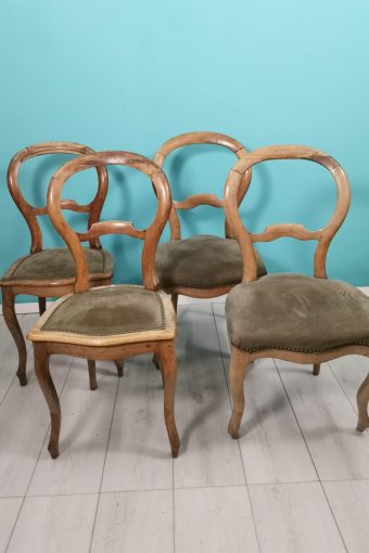 Chaises Louis Philippe du 19e siècle