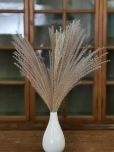 Small pampas bouquet #106