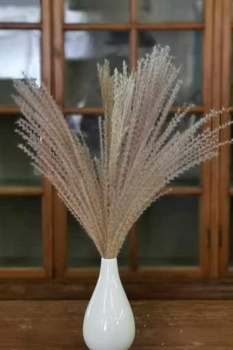 Small pampas bouquet #106