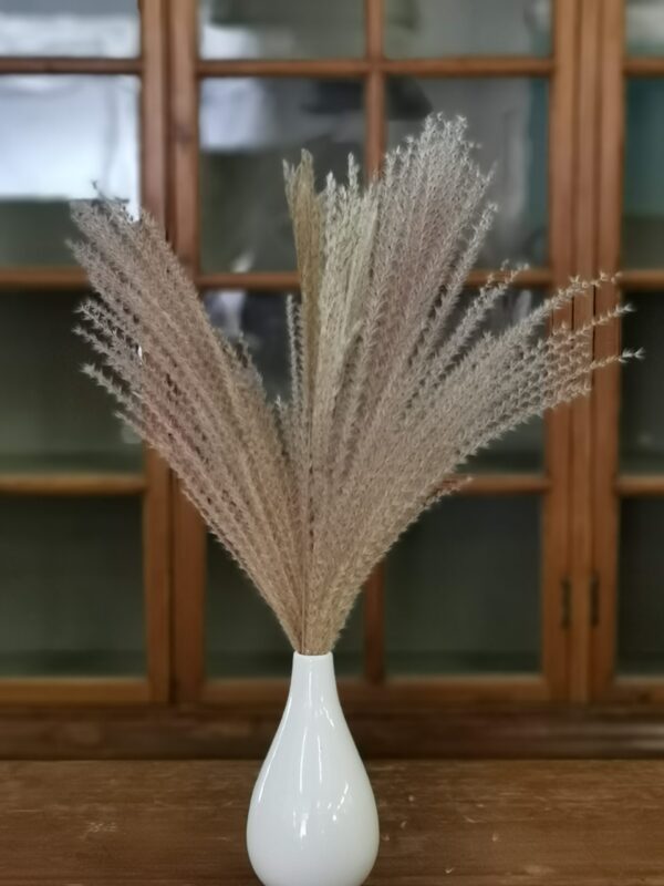 Small pampas bouquet #106 - Image 1 | bevintage.ch