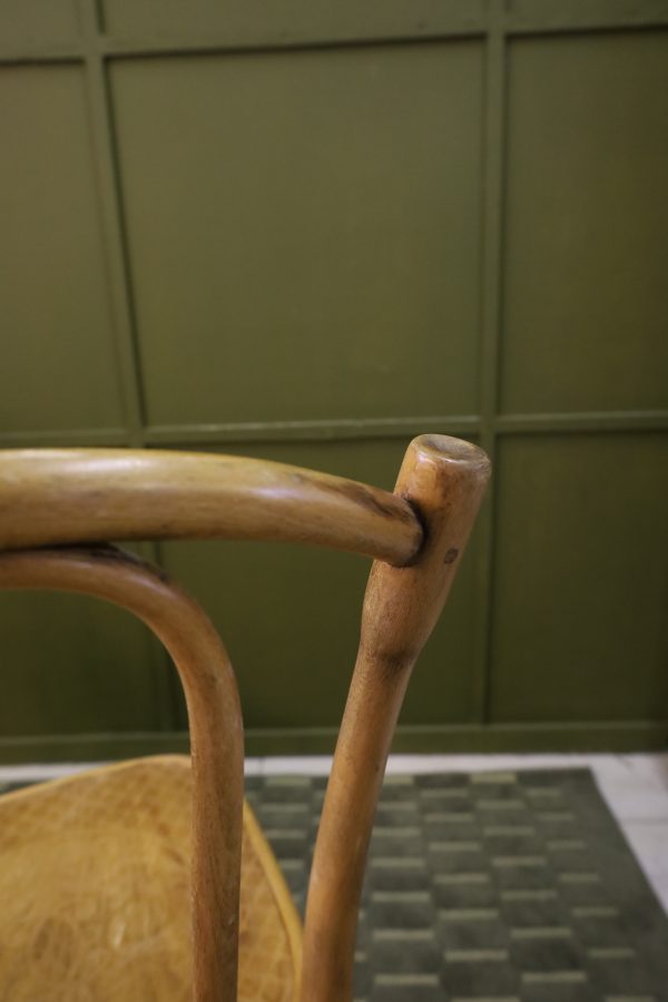 Chaises en bois courbé de Jacob & Josef Kohn