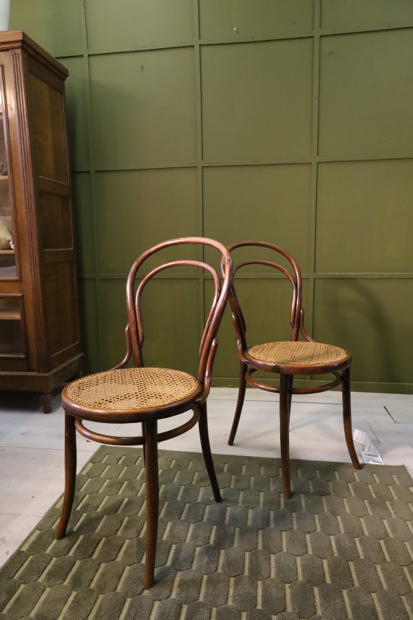 Viennese chairs