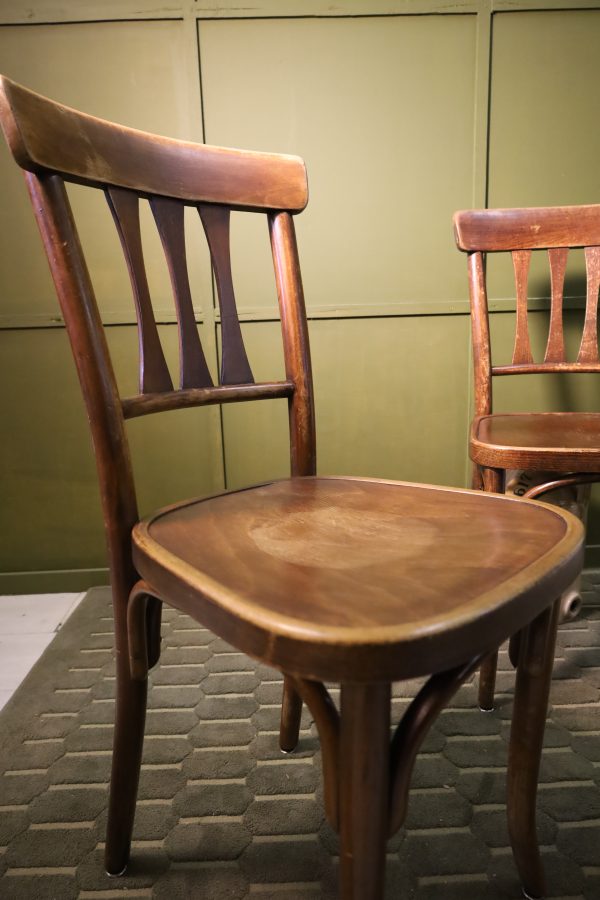 Antique Thonet chairs